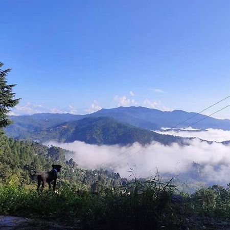 阿尔莫拉Little Himalayan Abode别墅 外观 照片