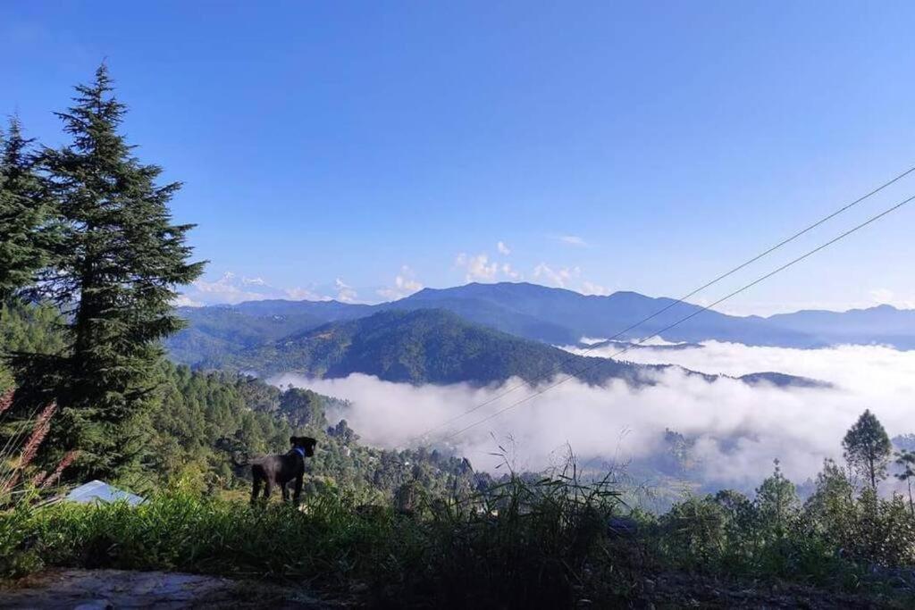 阿尔莫拉Little Himalayan Abode别墅 外观 照片